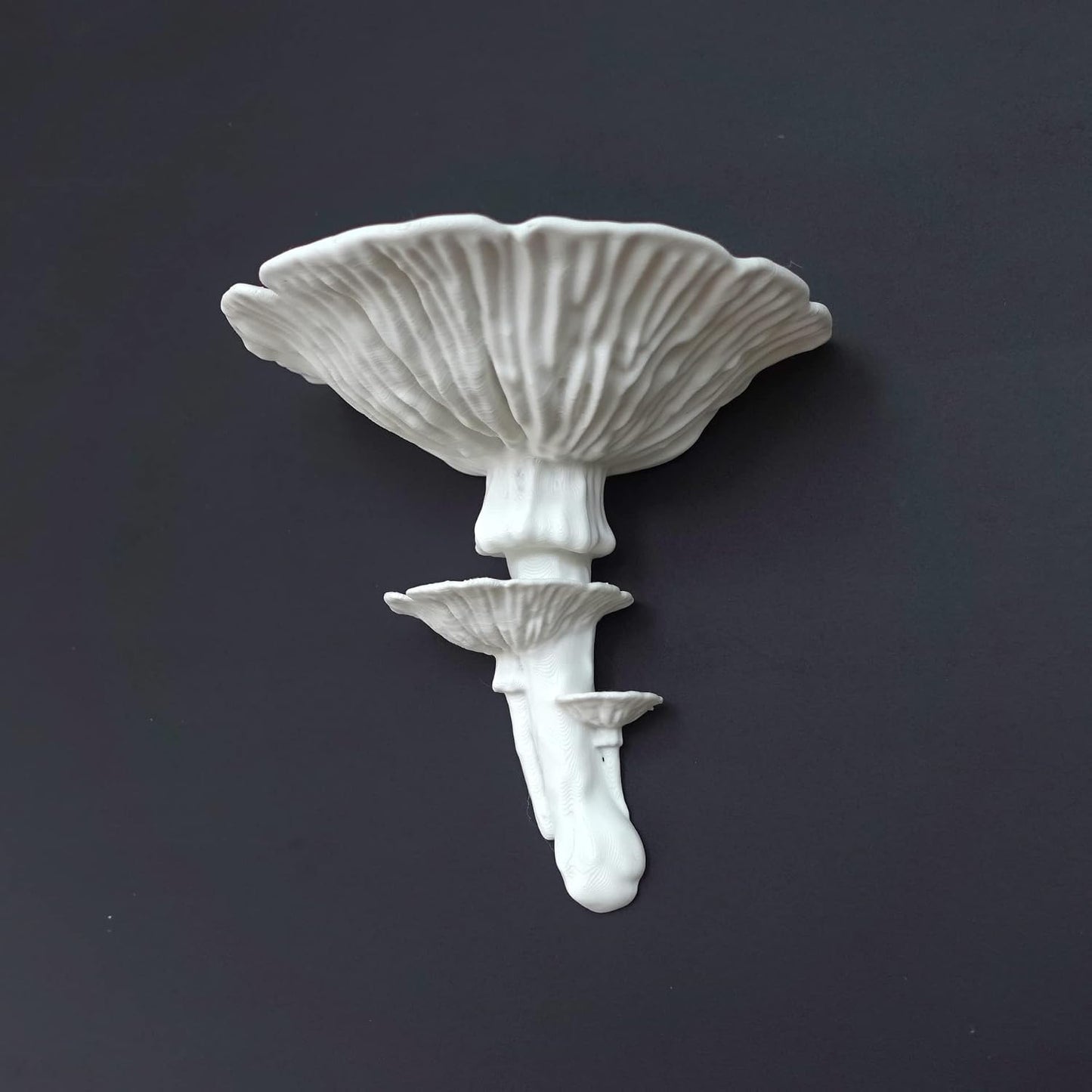 Amanita Mushroom Floating Shelf / White