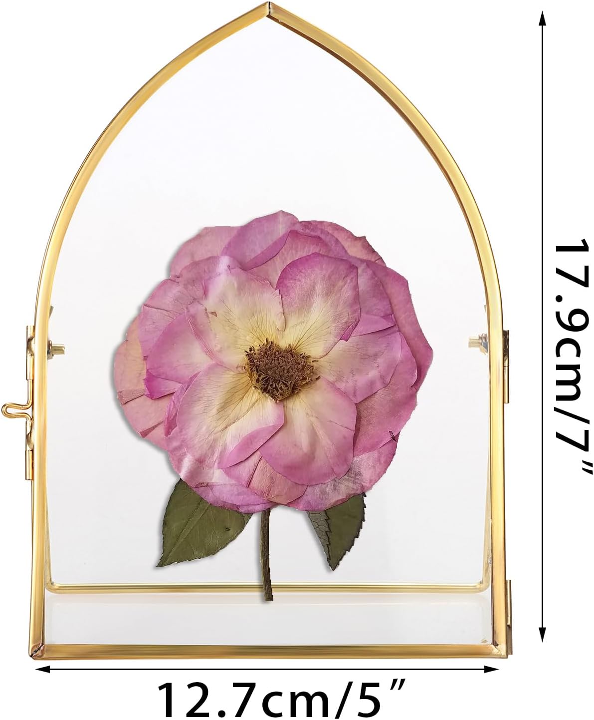 Glass Desktop Picture Artwork Display Frames / 5 x 7