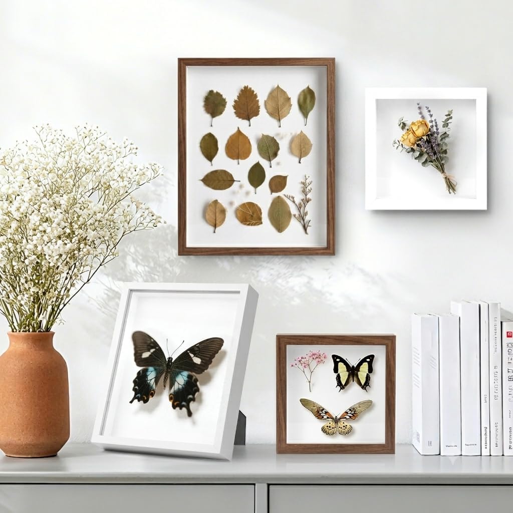 6 Pcs Shadow Box Frame 8x10 - 1.2" Deep Frame Display Case Walnut