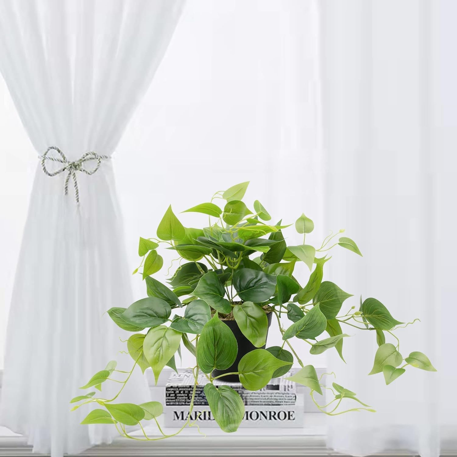 Artificial Scindapsus Aureus Fake Pothos Plants in Black Pots / 8 Inch-black Pot