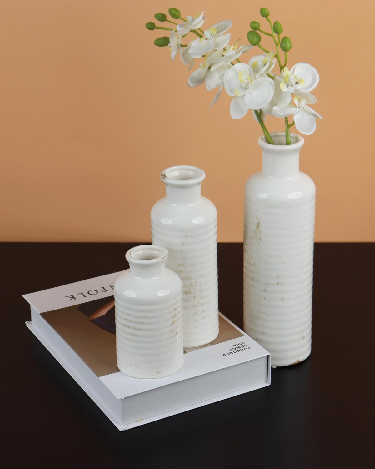 Ceramic Vase / White02 / White / Set of 3