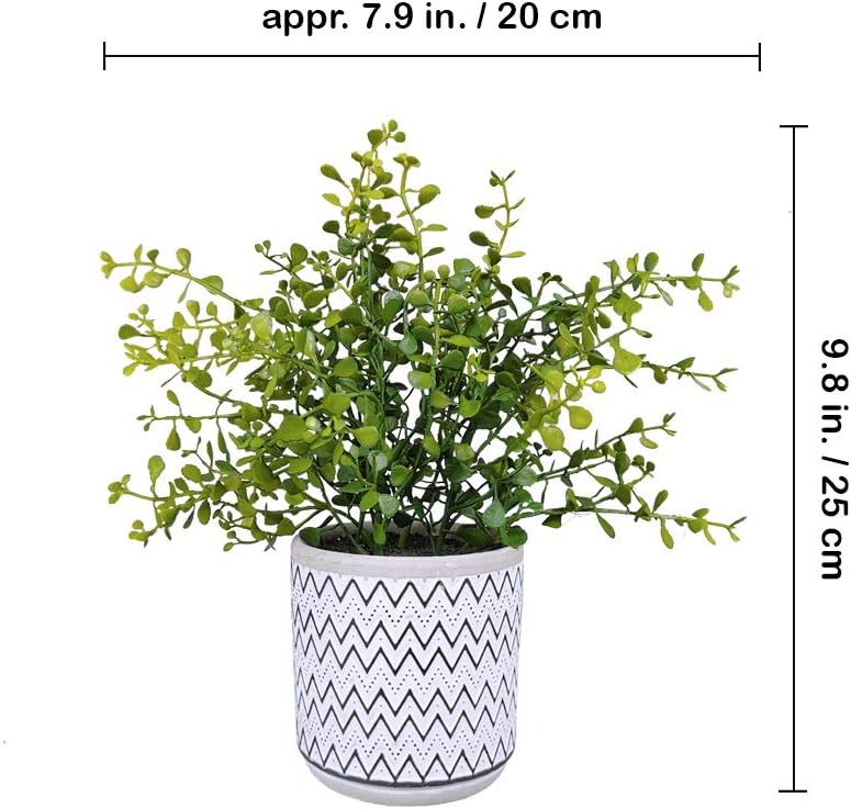 Small Potted Eucalyptus Plant Artificial Plants Boxwood Rosemary Greenery / Green / Set of 2