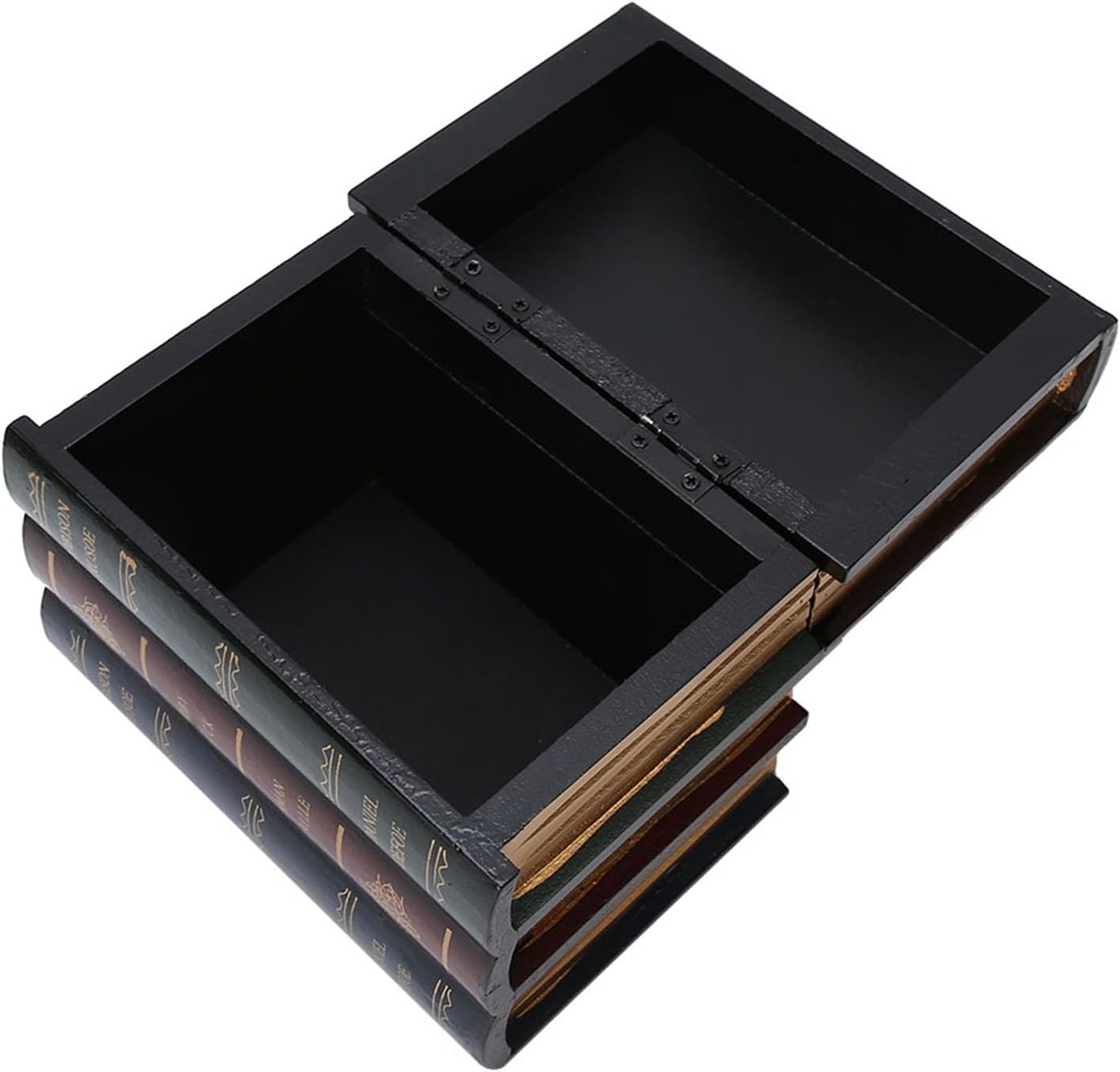 Secret Hidden Book Shape Case