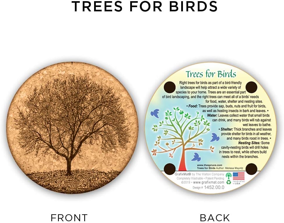 Dual Layer Won’t / Cork Coasters / Trees Art / Natural / Set of 4