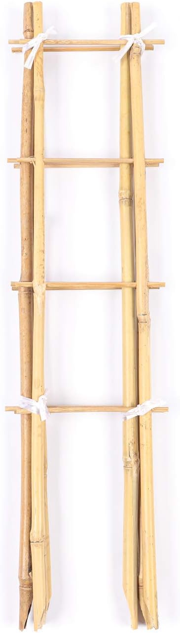 Cambaverd Indoor Plant Trellis, 24in Ladder-Shaped Bamboo Trellis 3 Pack | Natural plant trellis for potted plants