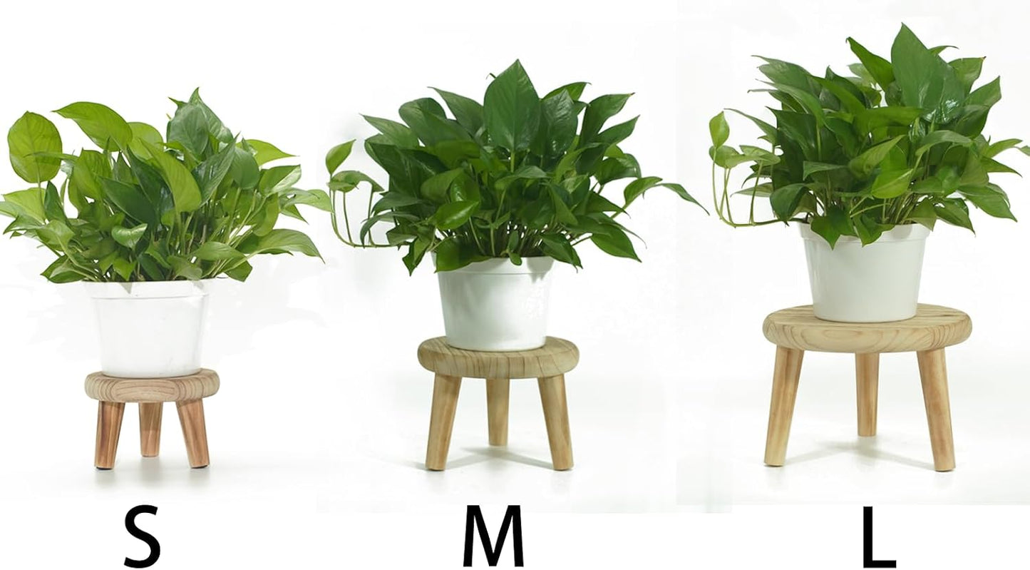 Wood Stool Plant Stand / 8 Inch / Set of 2
