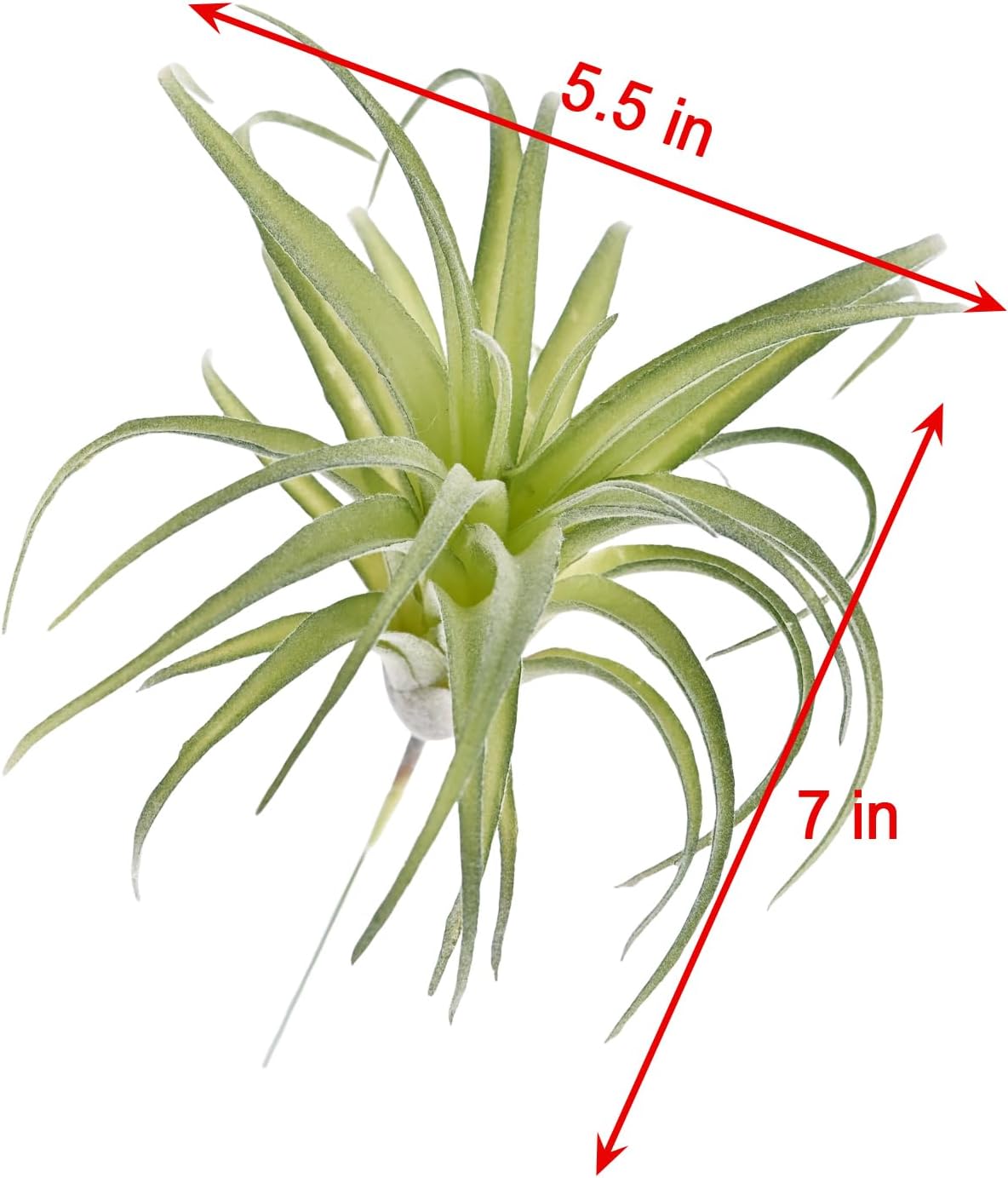 Fake Artificial Tillandsia Air Plants / Green / Set of 4