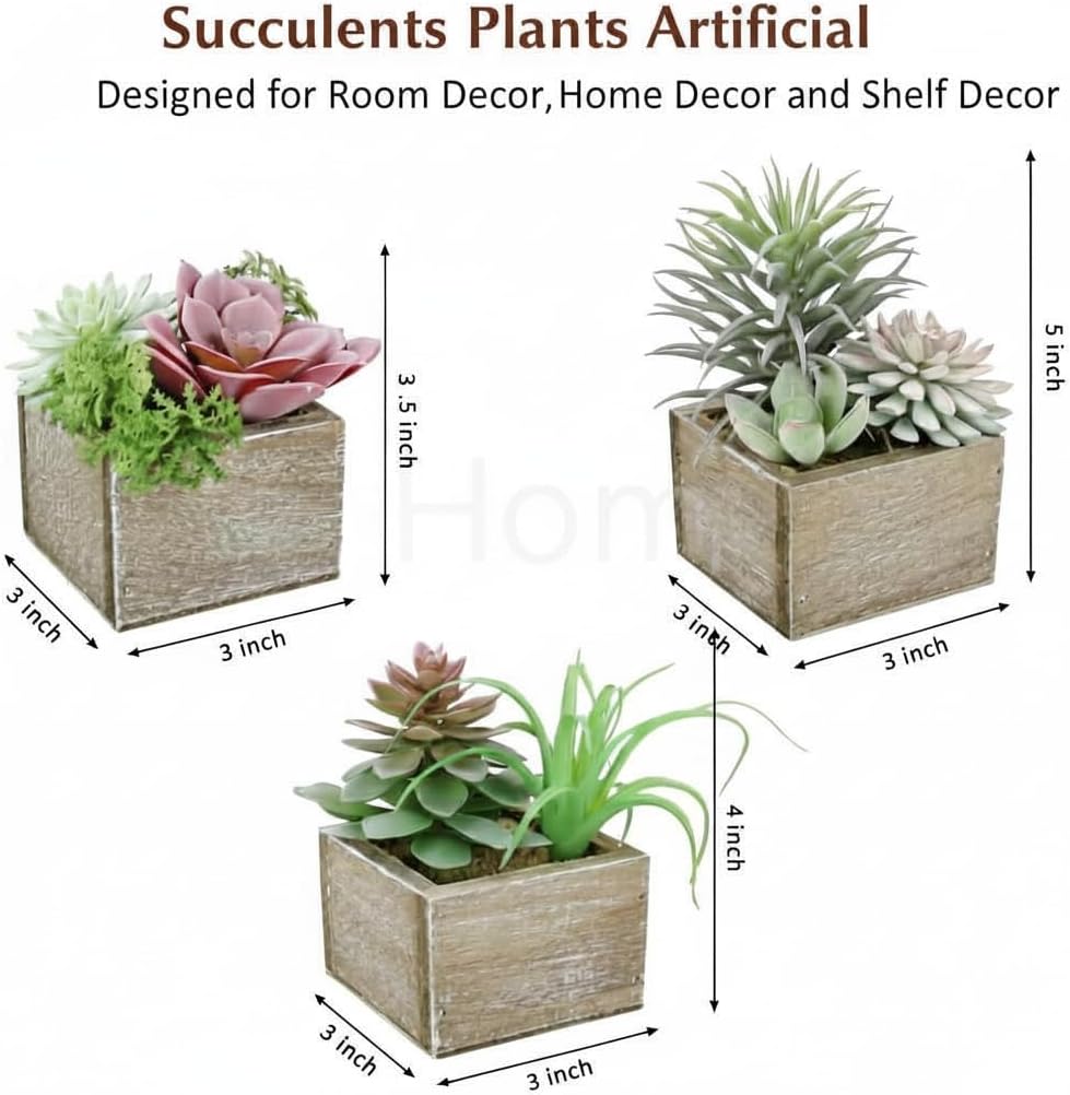 Succulent Plants Artificial / Symphony / Set of 3