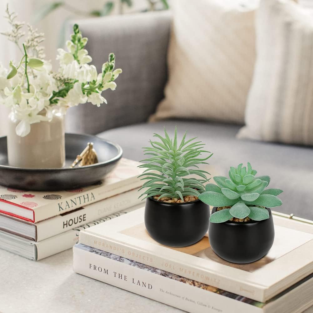 Artificial Succulents Fake Plants Mini Succulents Potted in Ceramic / Type #2 / Black / Set of 3