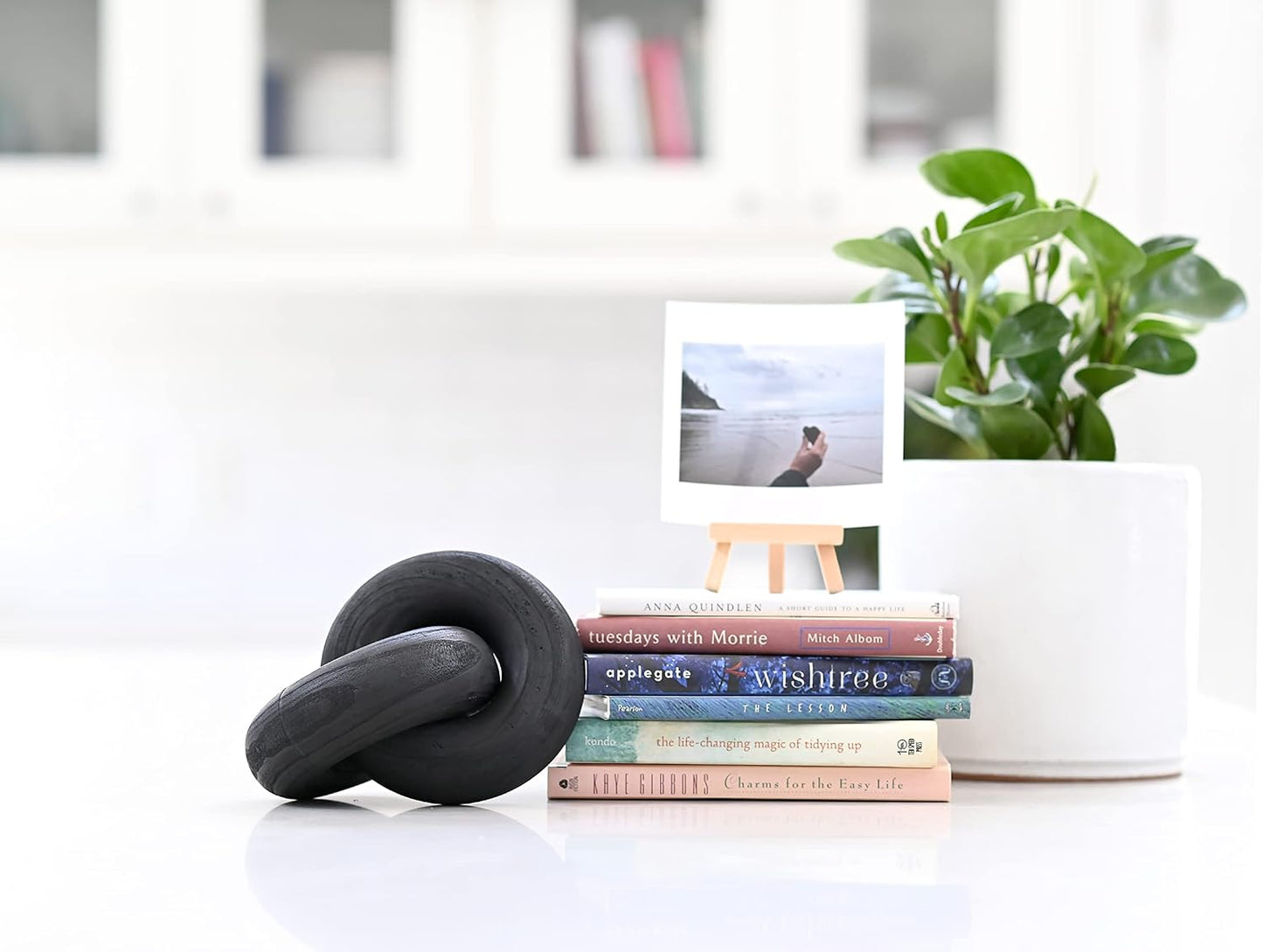 Wood Knot and Black Wood Knot Decor / Natural