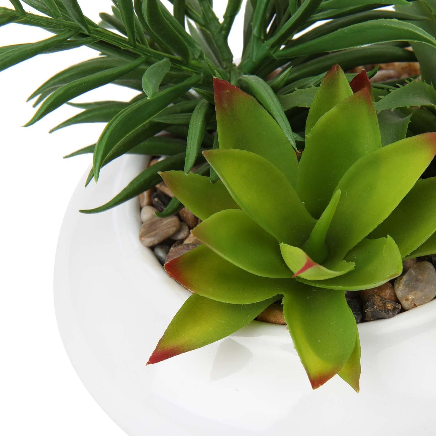 Large Artificial Succulents Plants Faux Succulents in Pots Fake Succulent Plastic / White Ceramic
