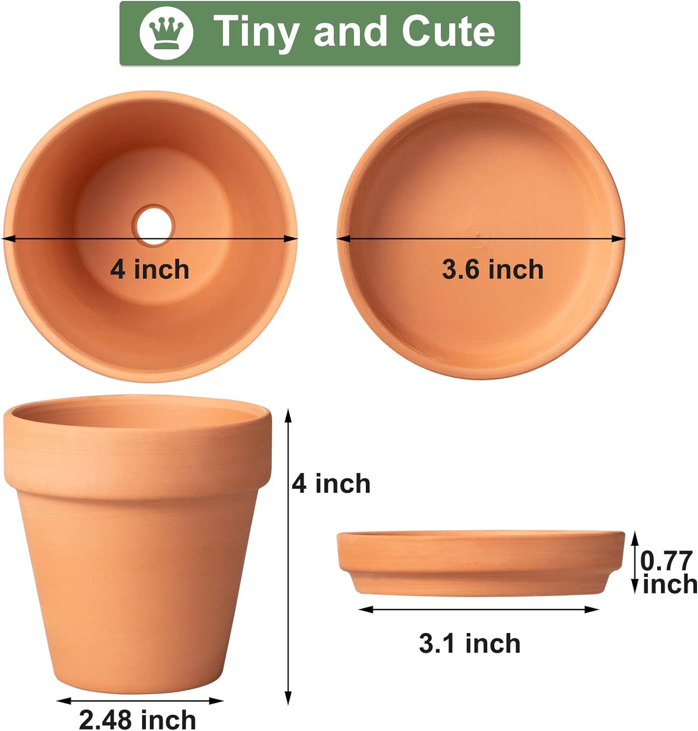 Tray / Flower Pots / 4 Inch / Set of 6