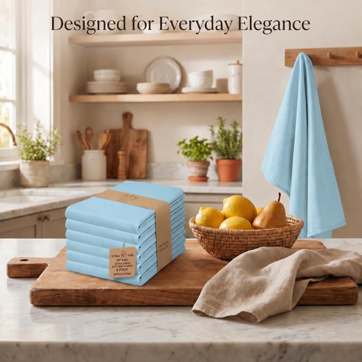 Urban Villa Kitchen Towels Cotton Dish Towels 20”x30” (Set of 6) Aqua