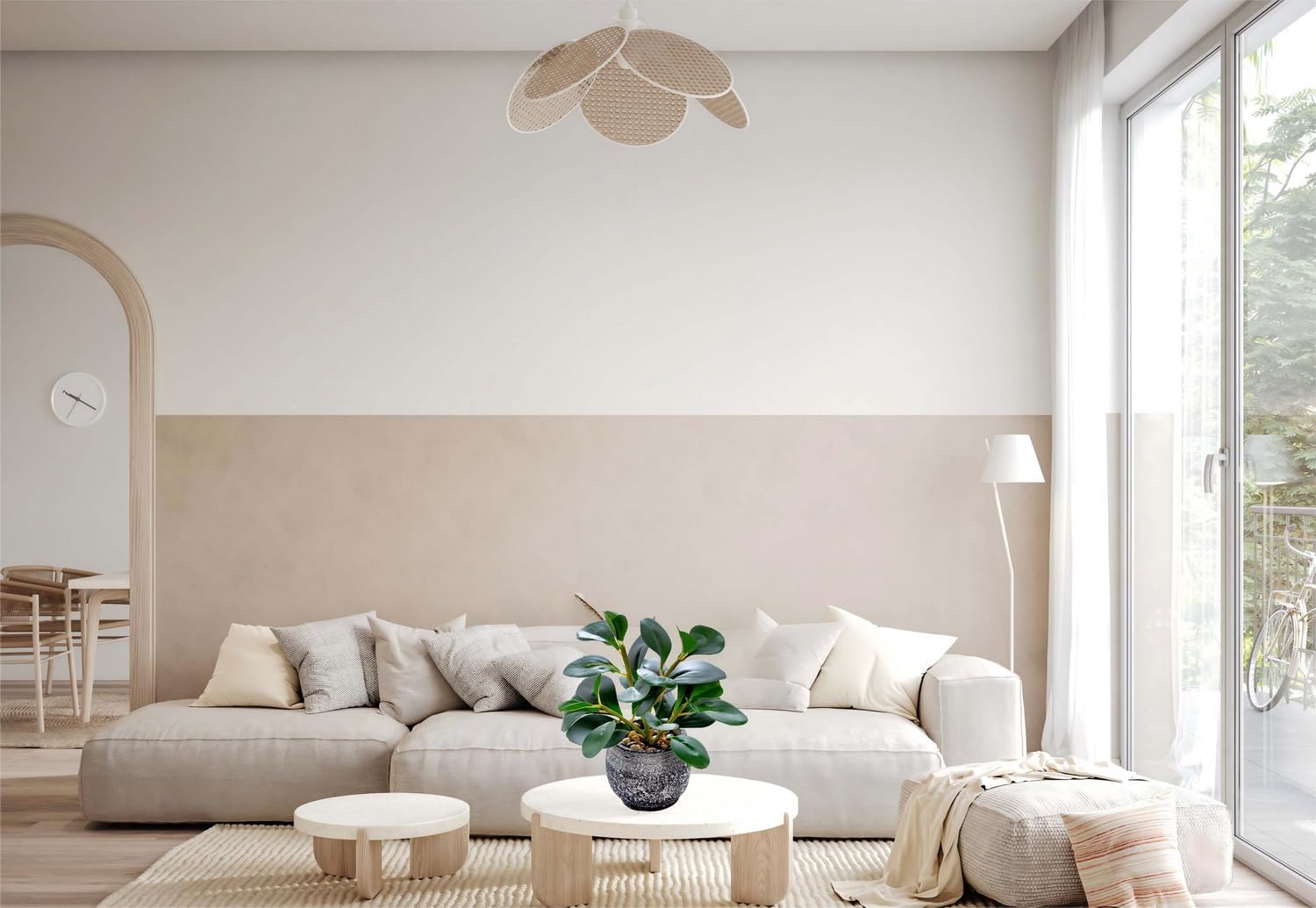 Rustic Cement Planter / Ficus Plant / Black