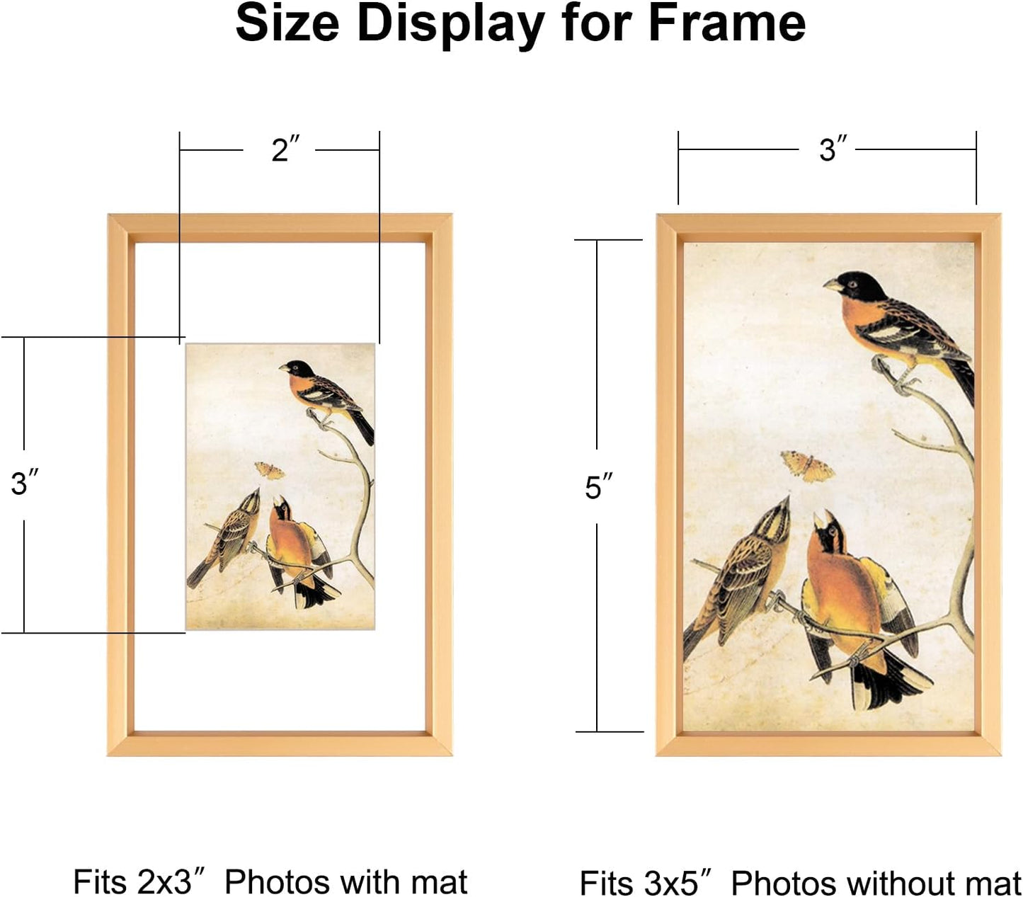 BKABOT 3x5 Gold Aluminum Photo frames 3 Pack HD Glass Mat 2x3 Wall Table | Brushed aluminum Picture frames,removable