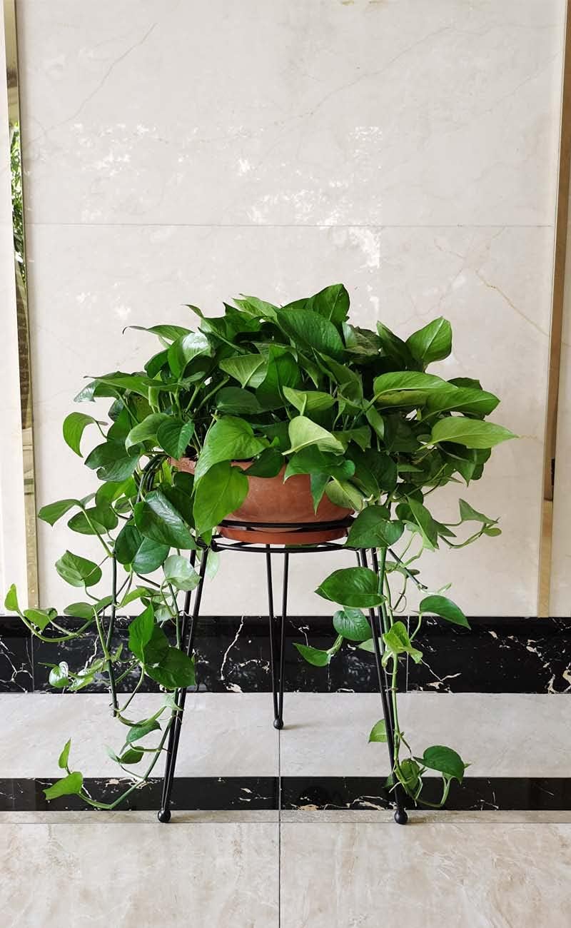 Midcentury Modern Metal Potted Plant Stand 18.7 inches Tall Flower Pot Holder Large Rustproof Iron Garden Container