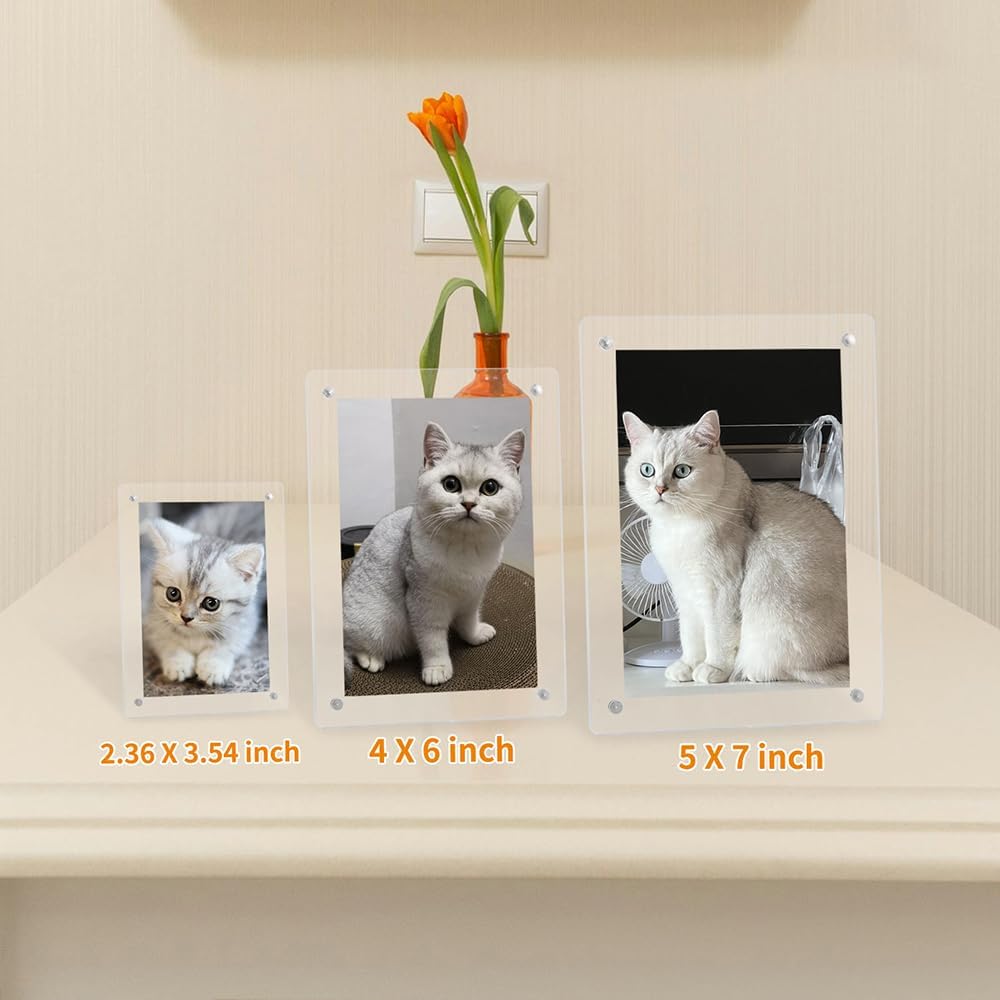 Acrylic Tabletop Photo Frames Compatible / Clear / 2.36*3.54 In / 2.36 x 3.54