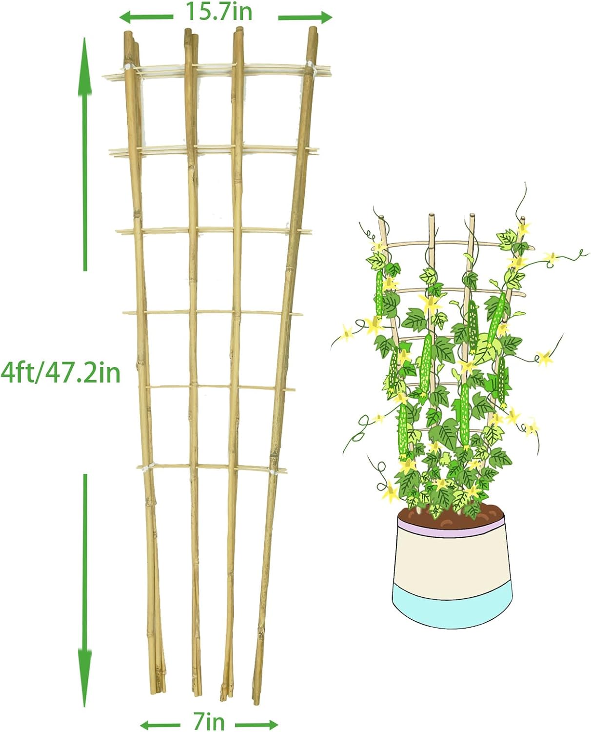Natural Bamboo Trellis, 4Feet,3Pack,Fan-Shaped Plant Support Trellis for Outdoor and Indoor Potted Climbing