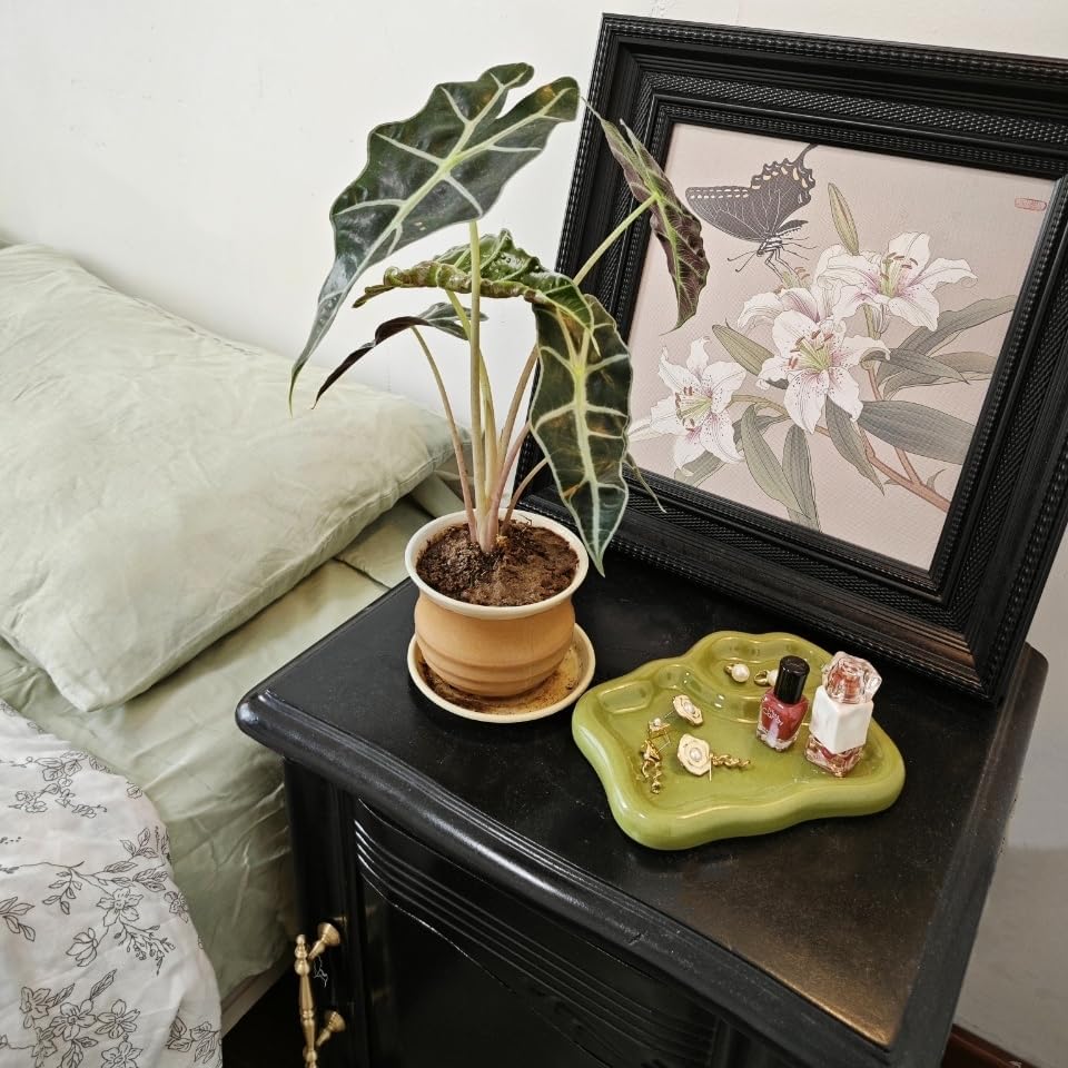 Green Ceramic Jewelry Tray Dish Large-sized Display Organizer Trinket Watch Keys / Olive Green