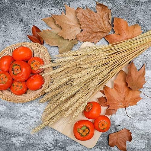 100 Stems Dried Wheat Stalks Natural Wheat Bundle for Home Decor, Crafts