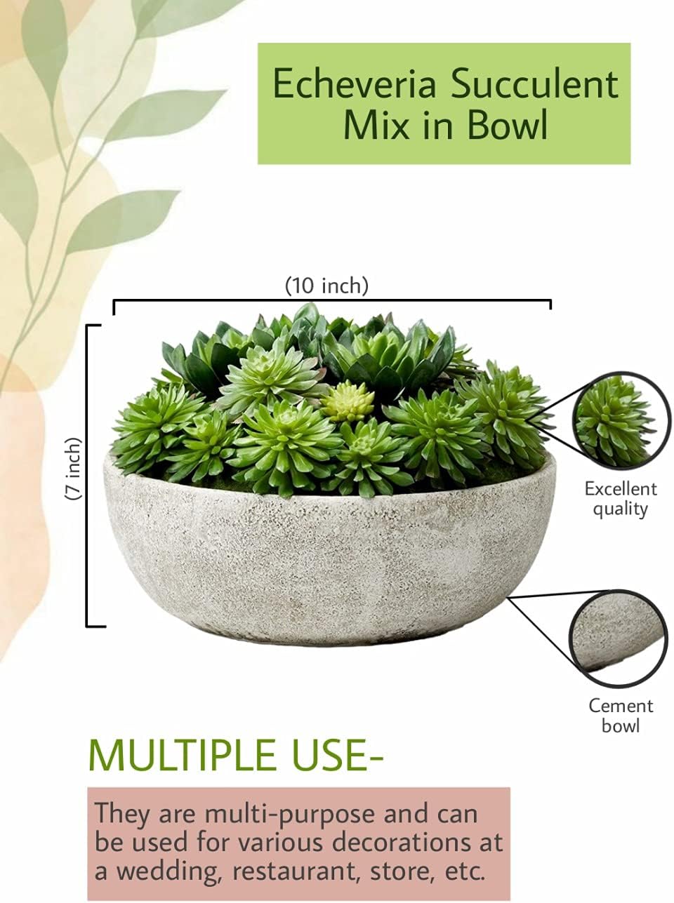 Real Looking Succulent / Echeveria Succulent Mix In Bowl