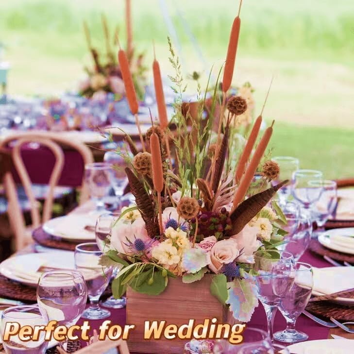 Dried Natural Brown Cattails Flowers - 20PCS Real Broadleaf Pencil Cattail Stems Bundles, 17'' Bulrush Plants Dry Flower for DIY Floral Arrangements, Wedding Home Office Gardens Decor