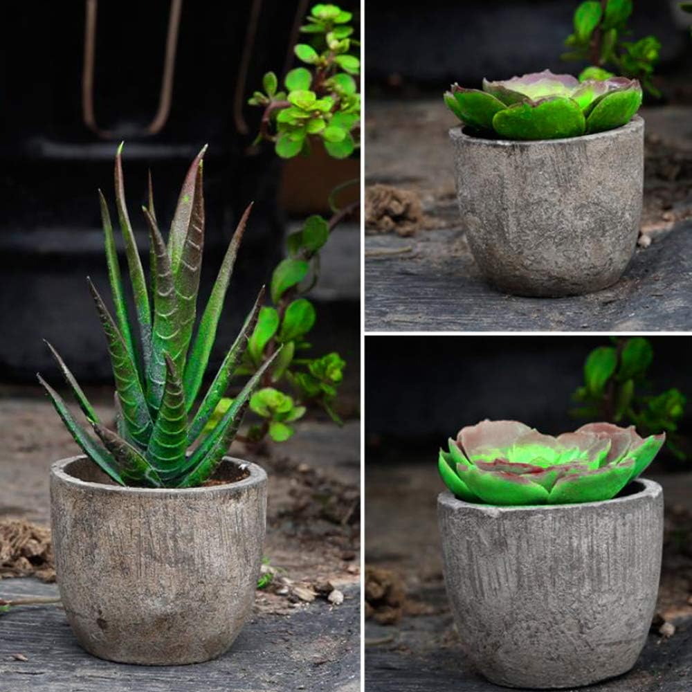 Fake Succulents Plants Artificial Succulents Assorted Faux Succulents in Bulk Artificial / Set of 14