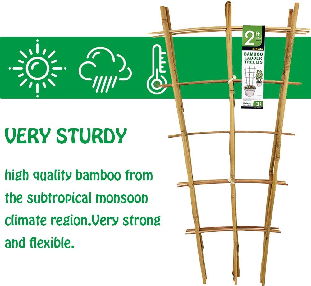 Natural Bamboo Trellis 24 Inches Tall, Mininfa Garden Ladder Trellis, Plant for Climbing Plants, Vegetables, Pots - 3