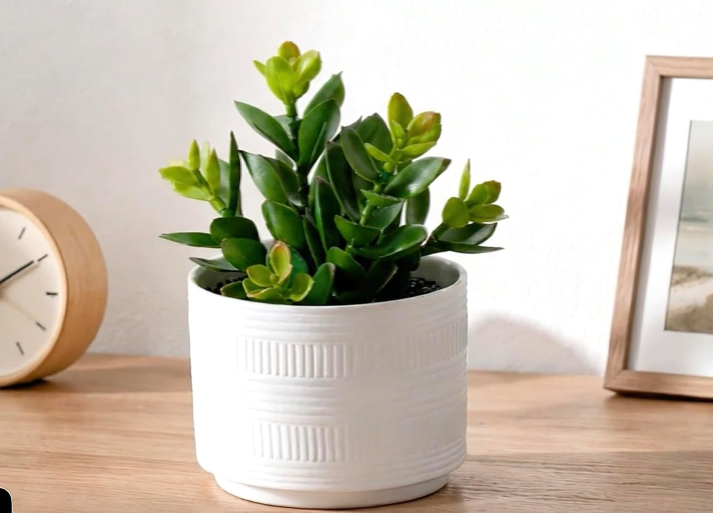Artificial Plant in Matte Ceramic Pot / White