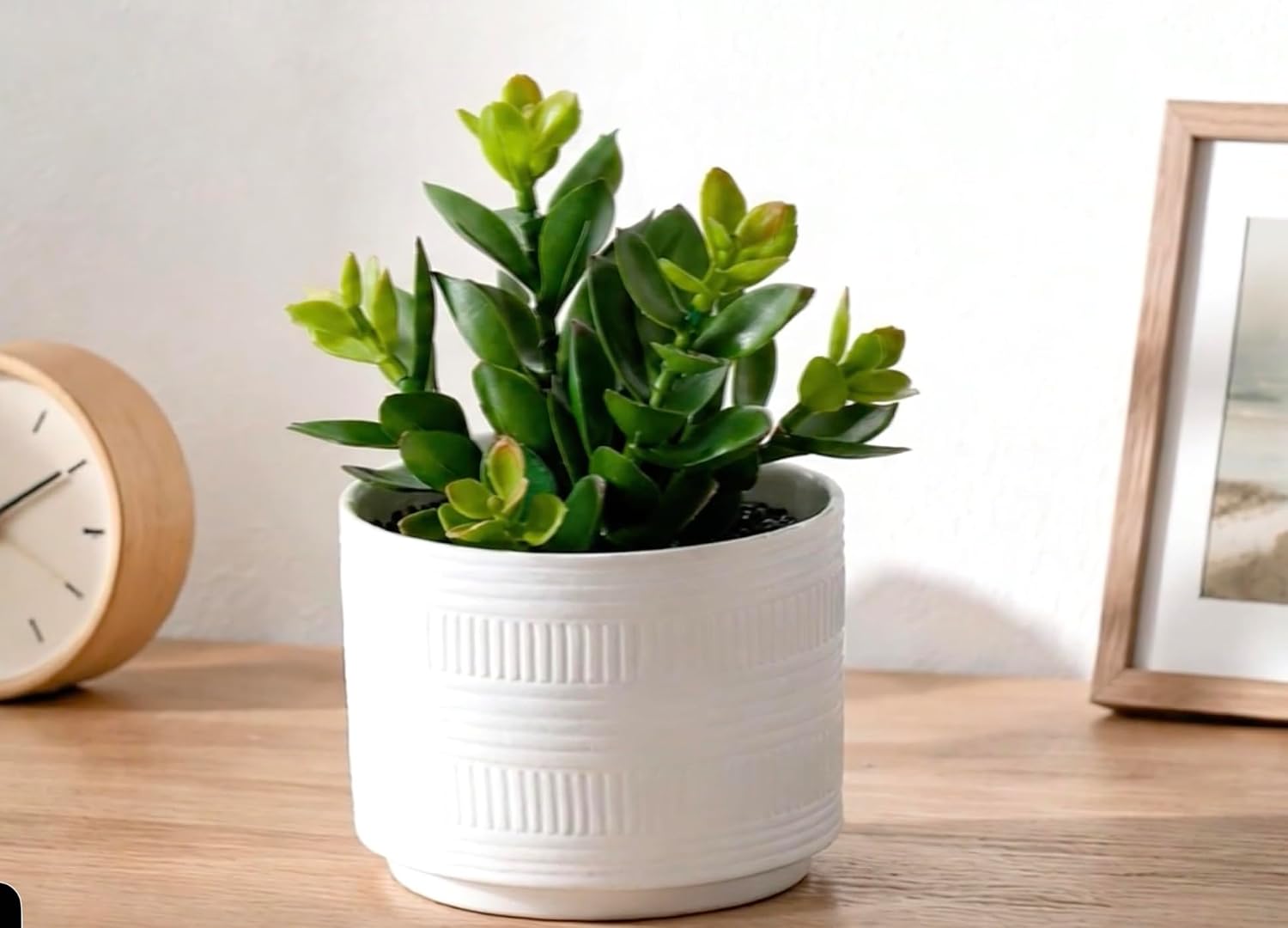 Artificial Plant in Matte Ceramic Pot / White