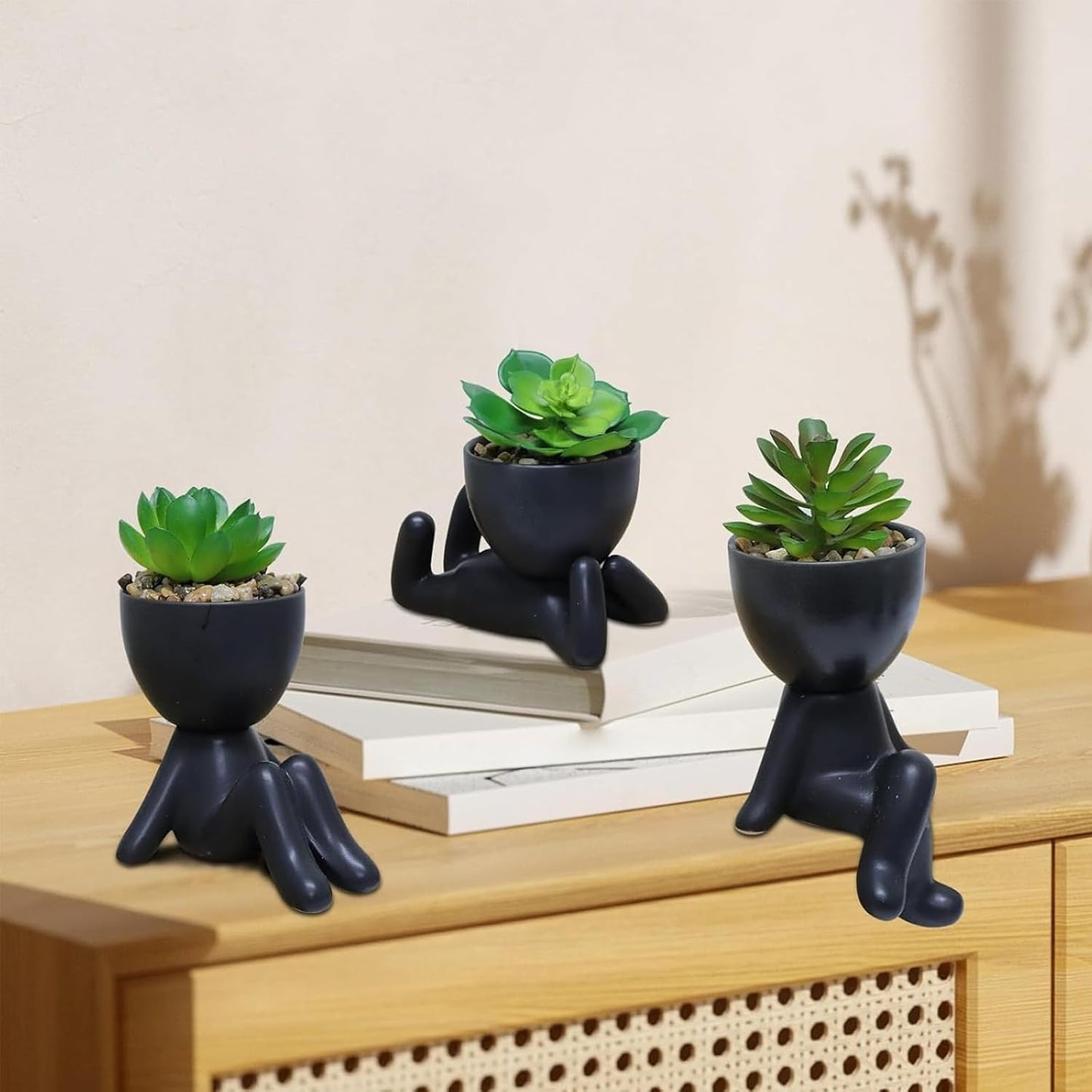 Artificial Succulent Plants / Black / Set of 3