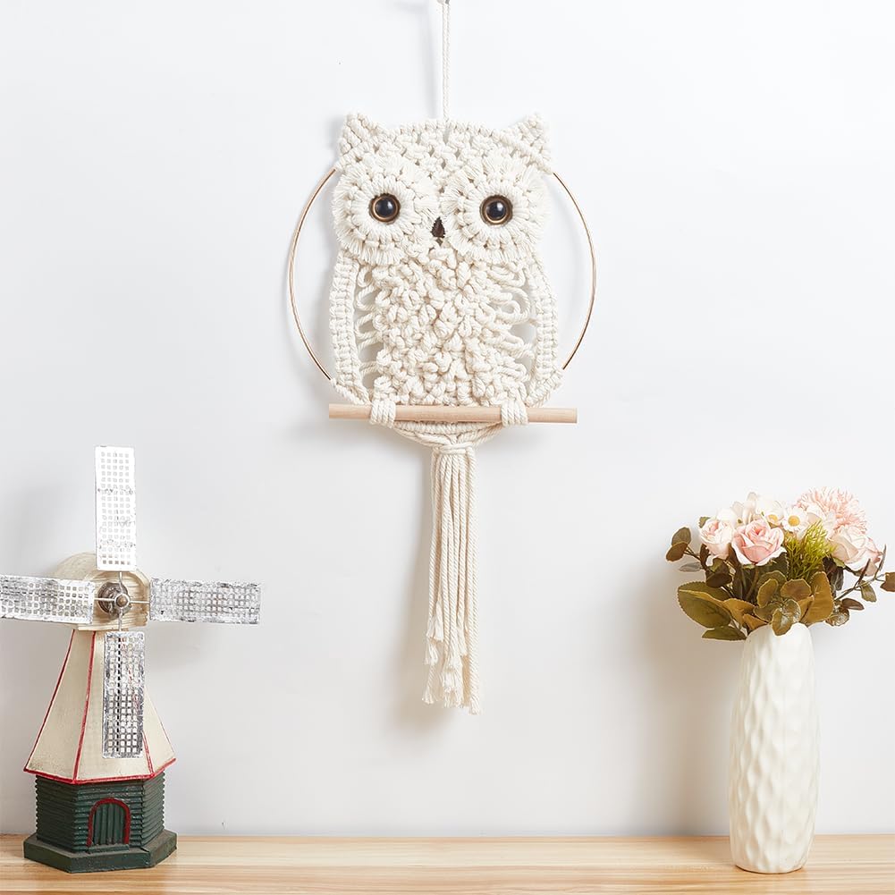 DIY Macrame Owl Wall Hanging Tapestry Kit Owl Macrame Kit for Beginner Boho Handmade Woven Macrame