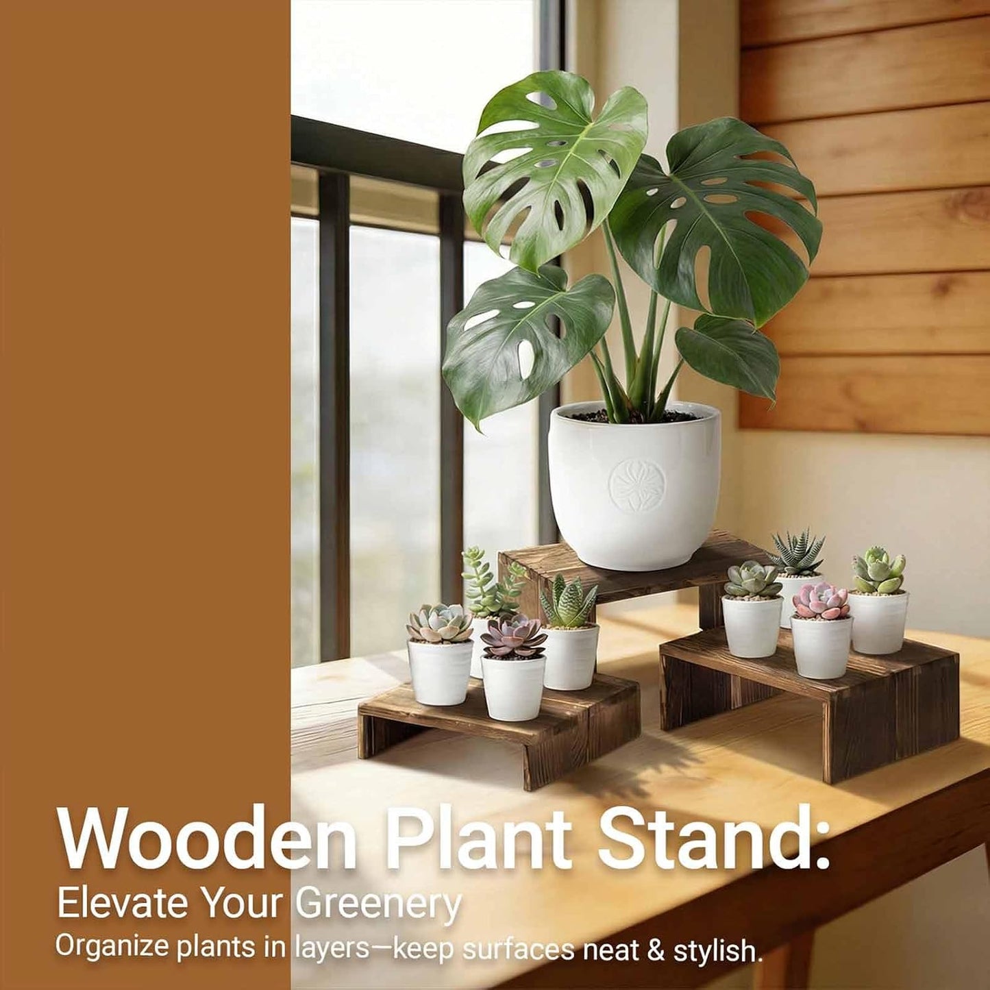 Tiered Display Stand for Food / Carbonized / Set of 2