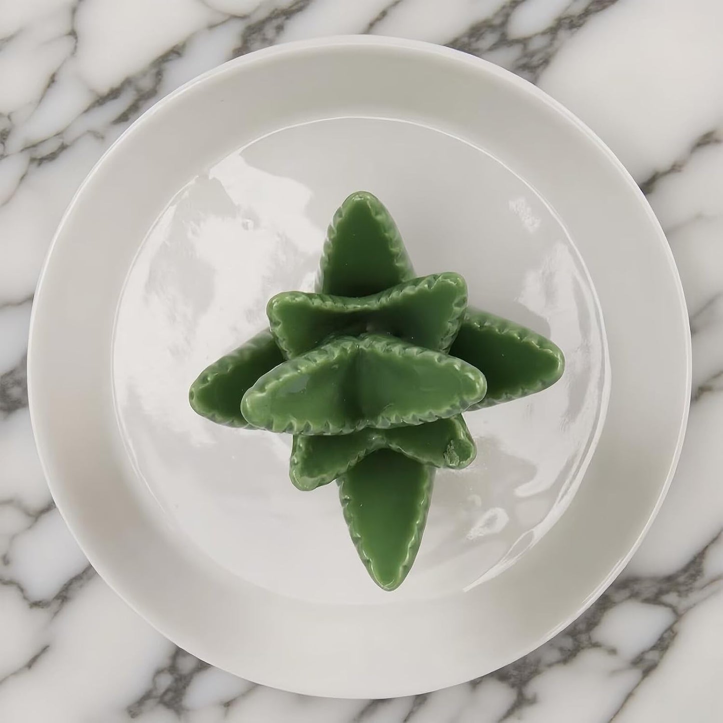 Ceramic Jewelry Tray / Aloe
