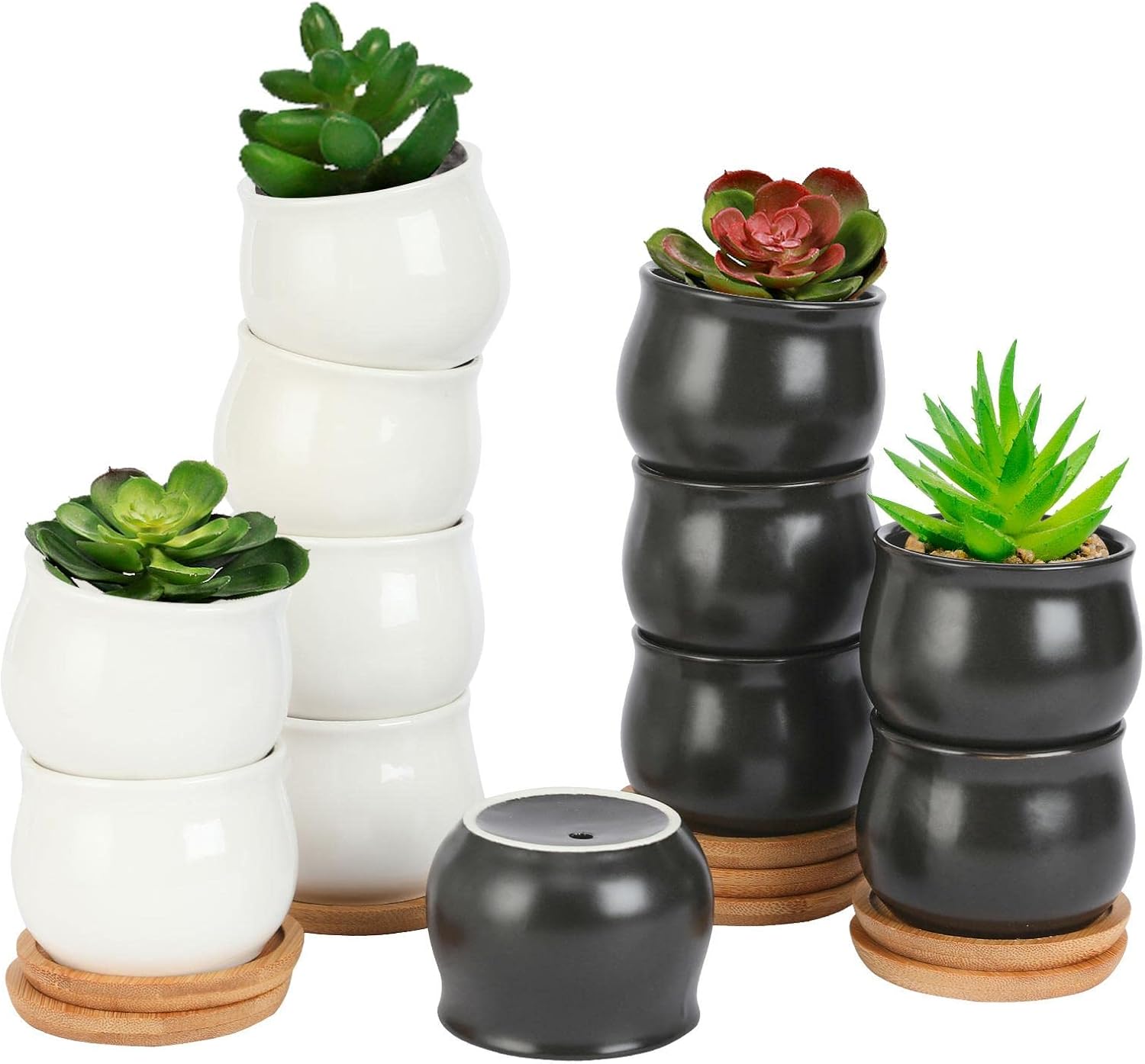 Mini Ceramic Flower Planter Pot / Black,white / 2.6 Inch / Set of 12