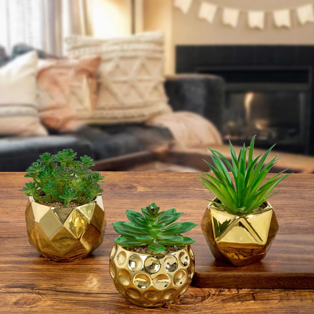 Artificial Succulents Plants in Ceramic Pots / Gold# / Set of 3