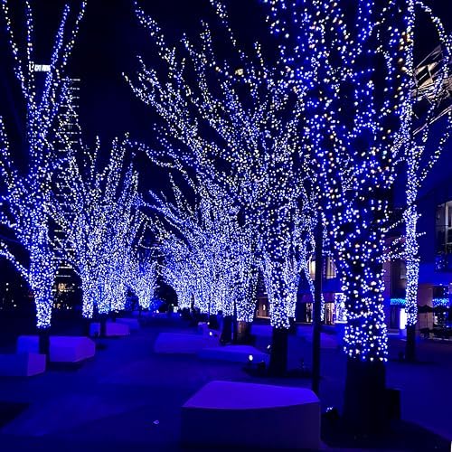FairyGlim Christmas String Lights Plug in,33FT 100 LED String Lights with 8 Modes & Timer, Xmas Decorations for Trees Wreath, Outdoor Indoor Yard Garden Party Decor, Blue