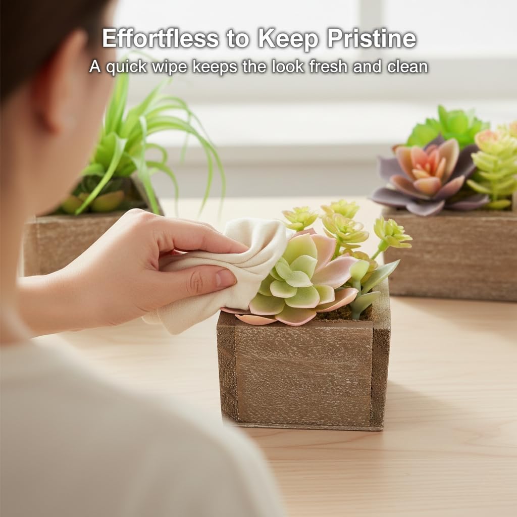 Mini Potted Greenery in Rustic Wood Planters / Organic / Set of 3