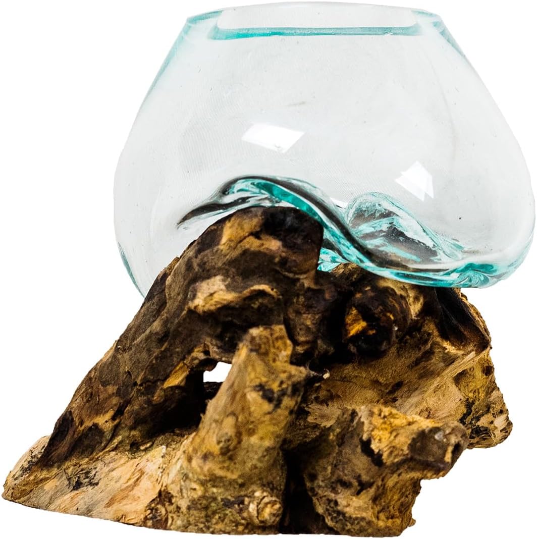 Organic Blown Glass & Root Bowl / 5 x 4 / Natural