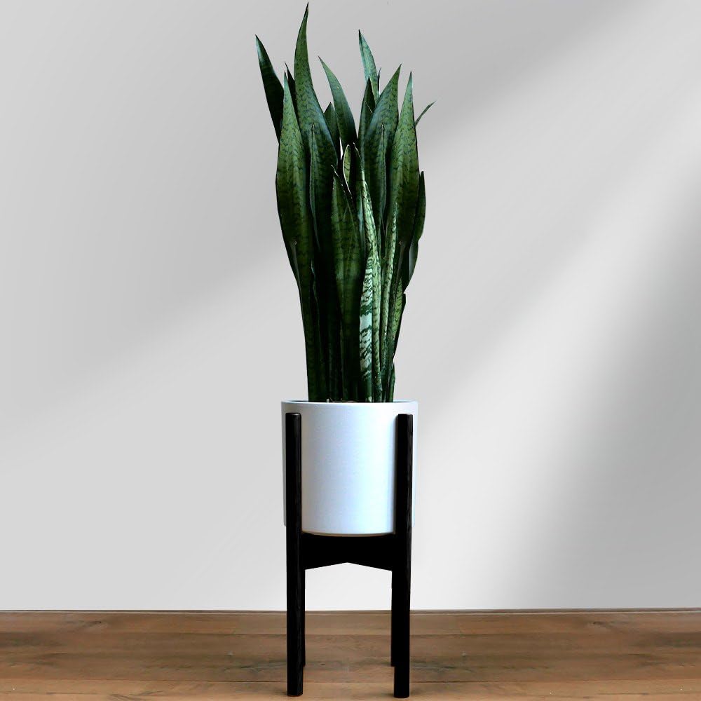 Fox & Fern Adjustable Plant Stand Indoor — 8 to 12 Inch Premium Mid Century Bamboo Plant Stand with Adjustable Width;