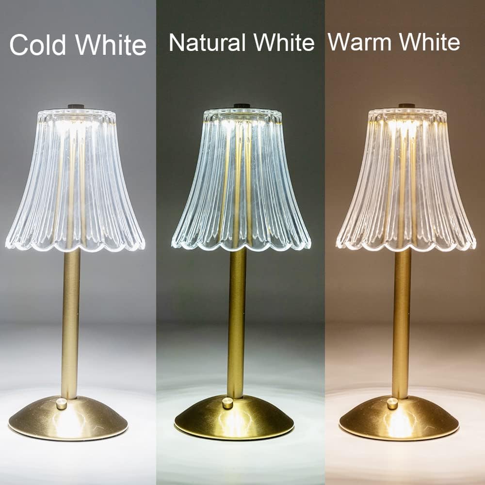 HEQET Cordless Table Lamps for Home,Table,Dining Room, Gold Rechargeable Lamps, USB Charge 12'' Tall LED Brass Portable