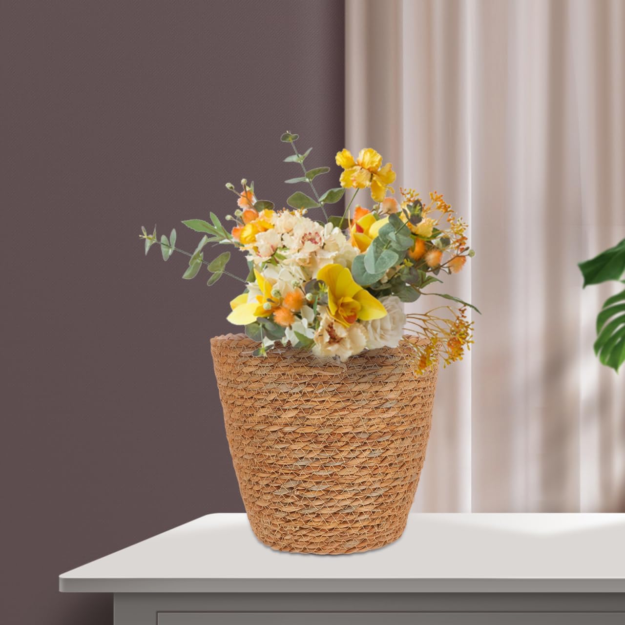Woven Plant Basket / Set of 2