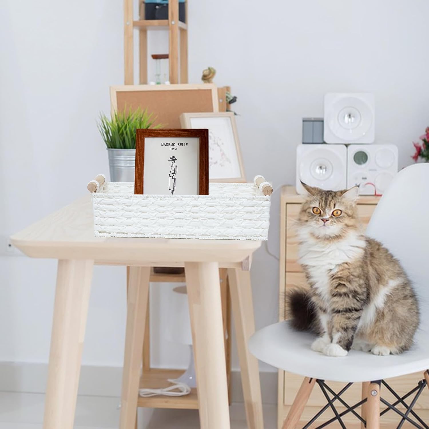 Small Storage Basket Wicker Baskets for Organizing / White