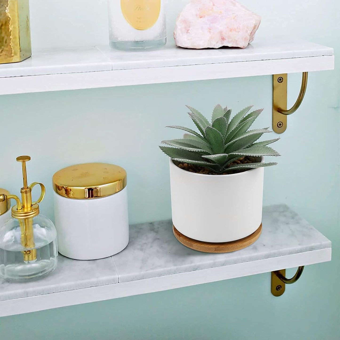 Succulent Plants Artificial / Agave 1 Piece