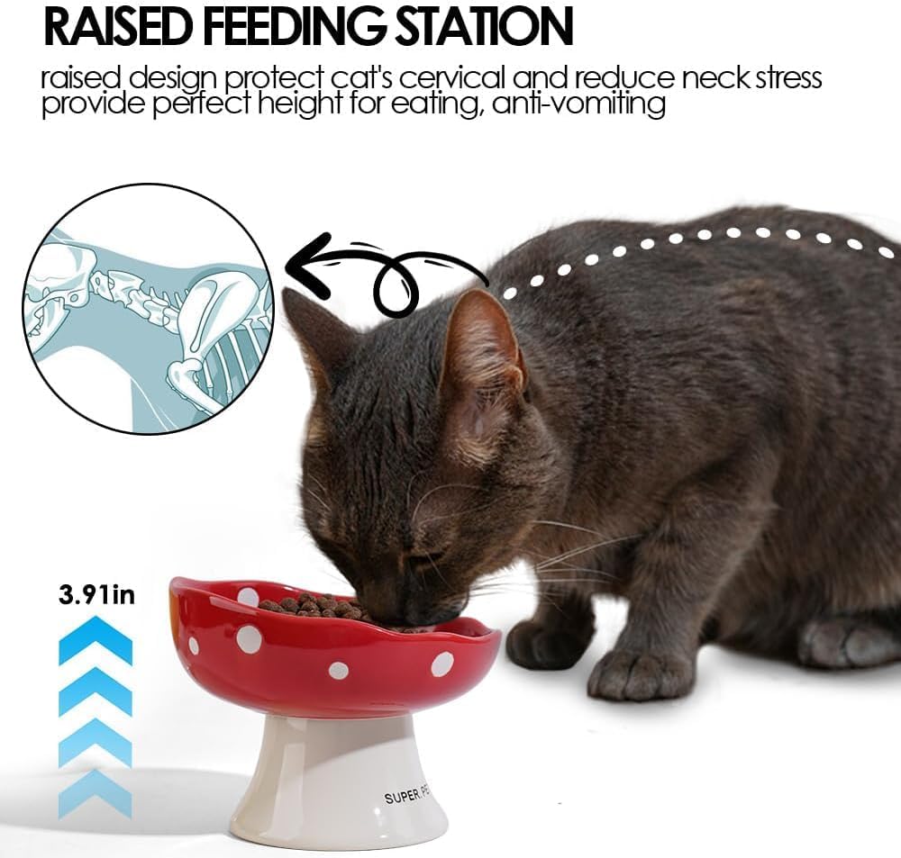 Elevated Ceramic Bowl for Cats / Purple