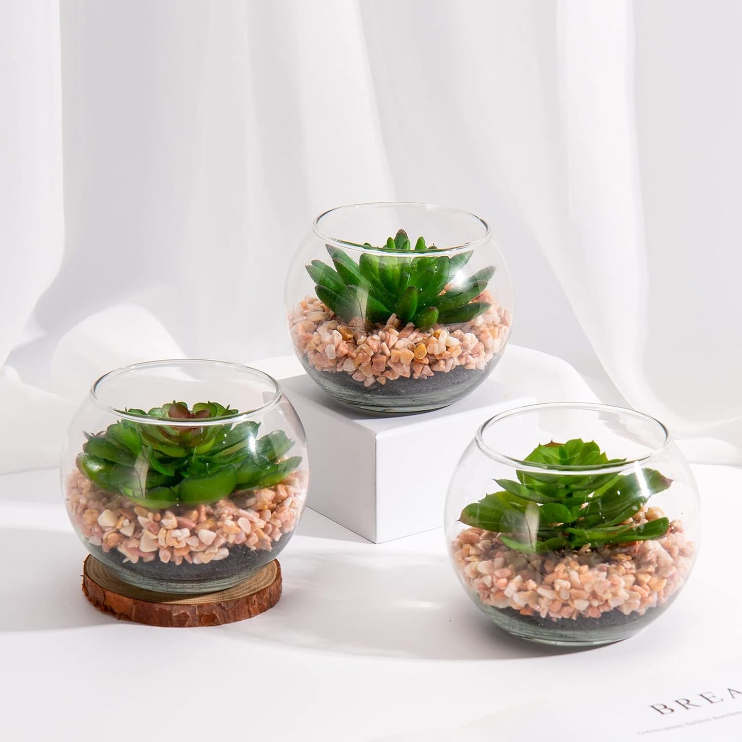 Mini Fake Plants 3 Packs Artificial Succulents Plants in Round Glass Vase / Succulents#07 / Set of 3