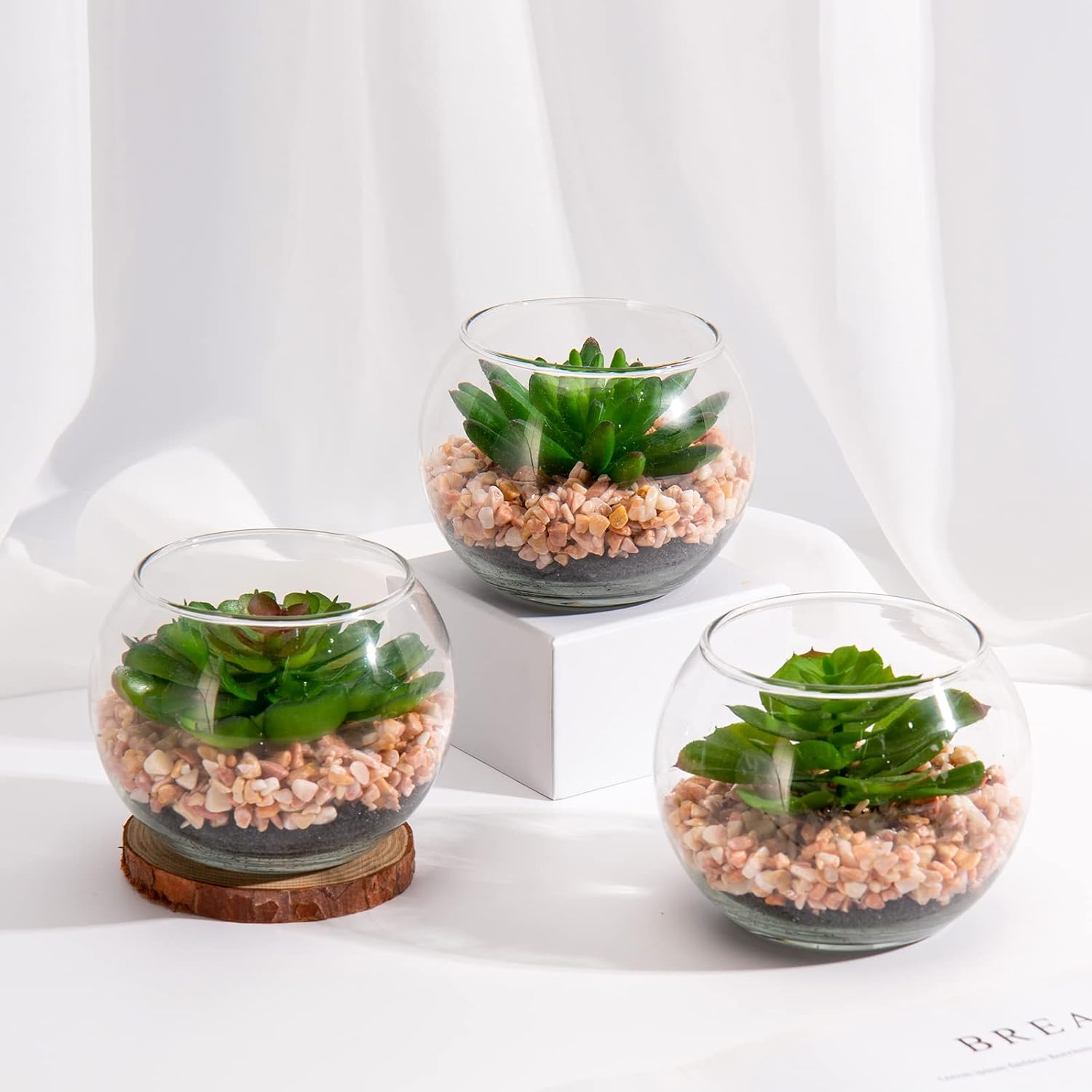Mini Fake Plants 3 Packs Artificial Succulents Plants in Round Glass Vase / Succulents#07 / Set of 3