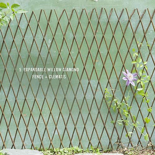 Natural Lattice Willow Trellis Fence for Climbing Plants,Expandable Garden Fence Wall Panel, Outdoor Decorative Wood