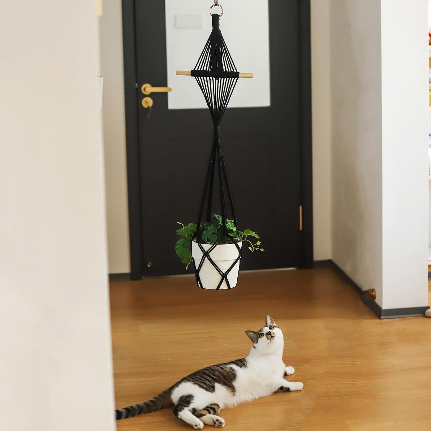 Boho Hanging Planters / Black Hanger / 10 Inch / Set of 8