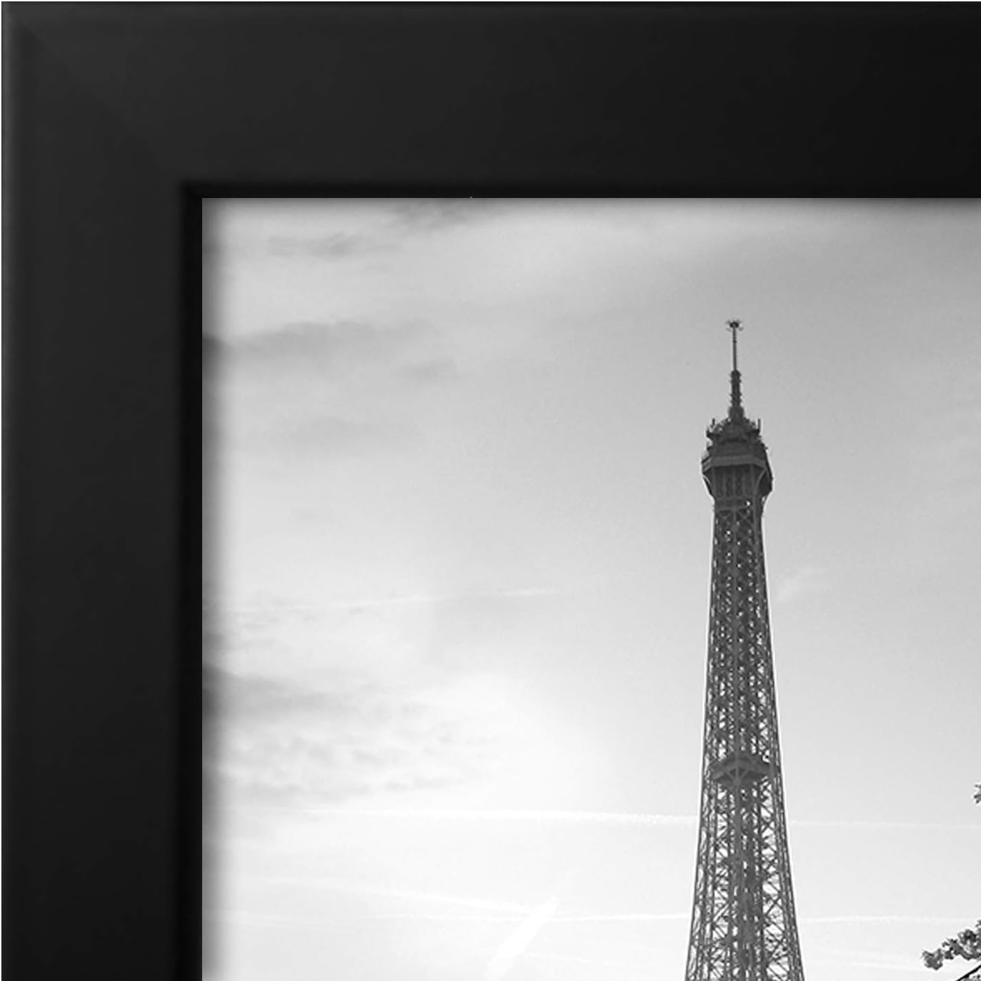 Picture Frame / Gallery-Style Frames Made / 8 x 12 / Black